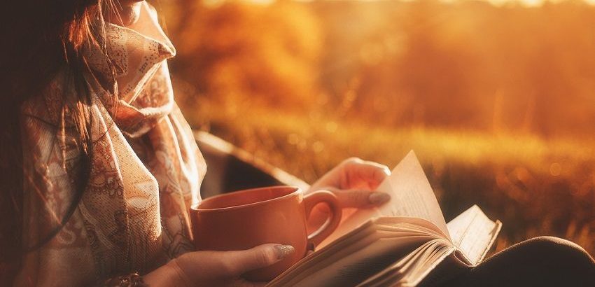 best light novels of all time